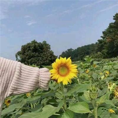 乱斗之王之暴力街区最新版下载