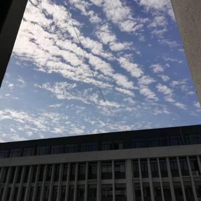 九游版乱世七雄手游下载